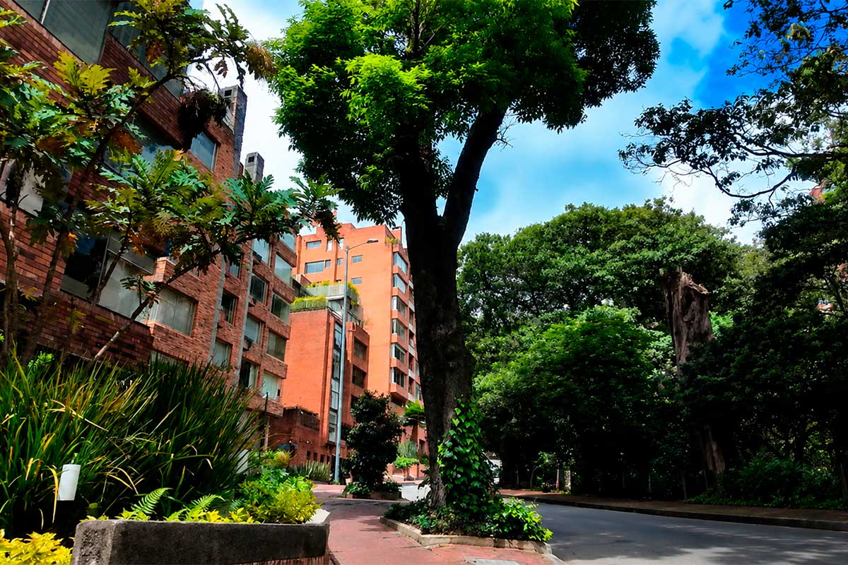 Arquitectura residencial en Rosales